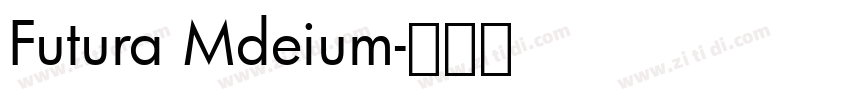 Futura Mdeium字体转换